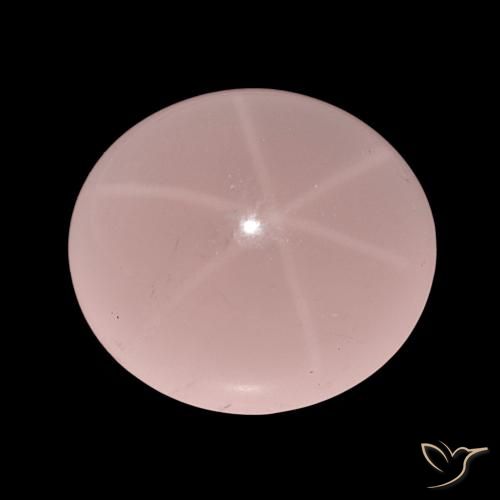 62.47ct Tom Rosa Quartzo Rosa Estrelado, oval, Translúcido