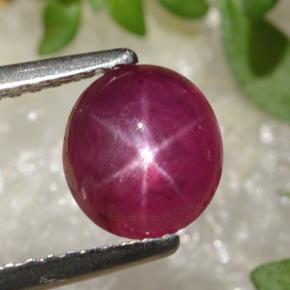 Rubi estrela vermelho natural 1,70ct, corte oval, translúcido