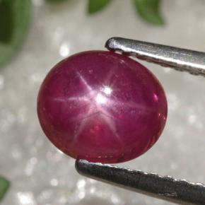 Rubi estrela vermelho natural 1,70ct, corte oval, translúcido
