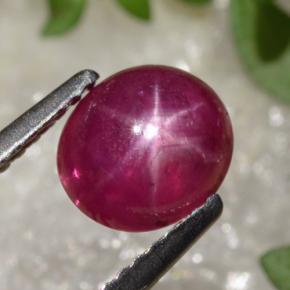 Rubi estrela vermelho natural 1,70ct, corte oval, translúcido