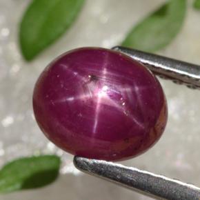 Rubi estrela vermelho natural 2,91ct, corte oval, opaco