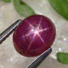Rubi estrela vermelho natural 2,91ct, corte oval, opaco