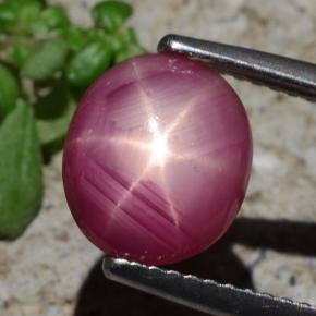 Rubi estrela vermelho natural 3,05ct, corte oval, opaco