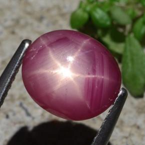 Rubi estrela vermelho natural 3,05ct, corte oval, opaco