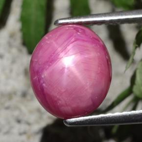 Rubi estrela vermelho natural 4,47ct, corte oval, opaco