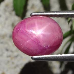 Rubi estrela vermelho natural 4,47ct, corte oval, opaco