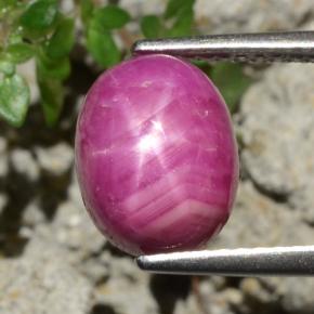 Rubi estrela vermelho natural 4,79ct, corte oval, opaco