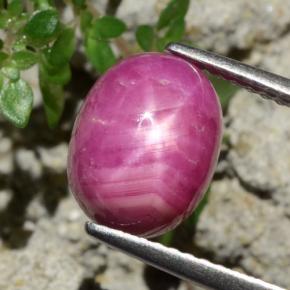 Rubi estrela vermelho natural 4,79ct, corte oval, opaco