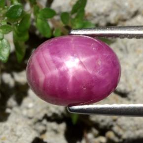 Rubi estrela vermelho natural 4,79ct, corte oval, opaco