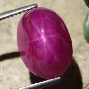 Rubi estrela vermelho natural 15,65ct, corte oval, opaco