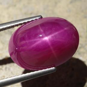 Rubi estrela vermelho natural 15,65ct, corte oval, opaco