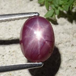 Rubi estrela vermelho natural 2,68ct, corte oval, opaco