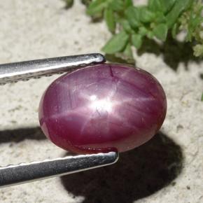Rubi estrela vermelho natural 2,68ct, corte oval, opaco