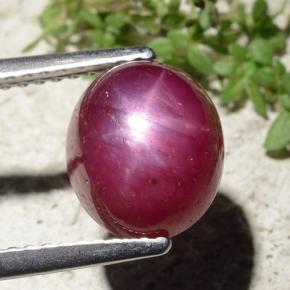 Rubi estrela vermelho natural 5,01ct, corte oval, opaco