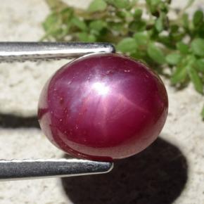 Rubi estrela vermelho natural 5,01ct, corte oval, opaco