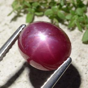 Rubi estrela vermelho natural 5,01ct, corte oval, opaco