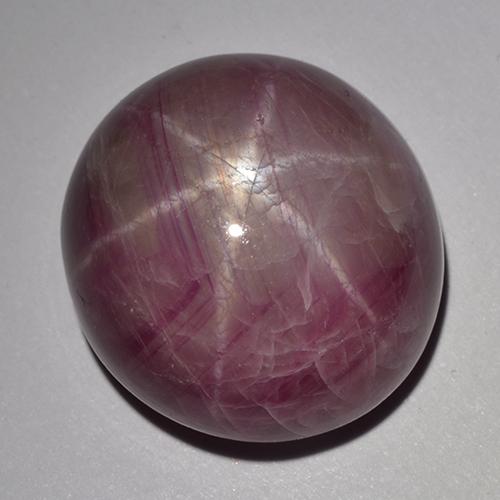 Rubi estrela roxo natural 33,48ct, corte oval, opaco