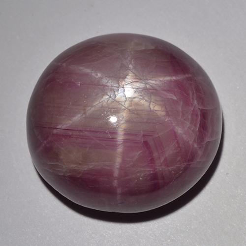 Rubi estrela roxo natural 33,48ct, corte oval, opaco