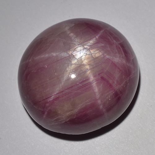 Rubi estrela roxo natural 33,48ct, corte oval, opaco