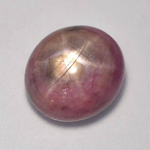 rubi estrela roxo avermelhado Natural 9.74ct, Corte Oval, Opaco