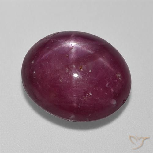 13.67ct Natural Vermelho escuro rubi estrela, oval, Opaco