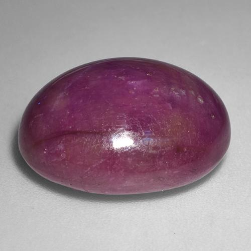 Rubi estrela vermelho natural 24,57ct, corte oval, opaco