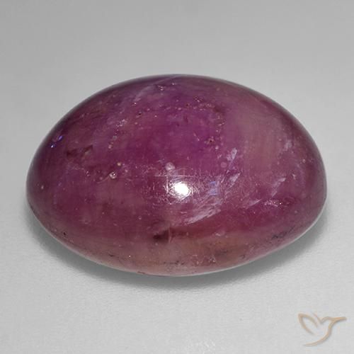 rubi estrela Vermelho roxo Natural 23.39ct, oval, Opaco