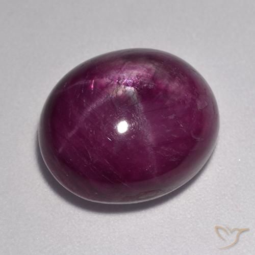 11.57ct Natural Roxo escuro rubi estrela, oval, Opaco