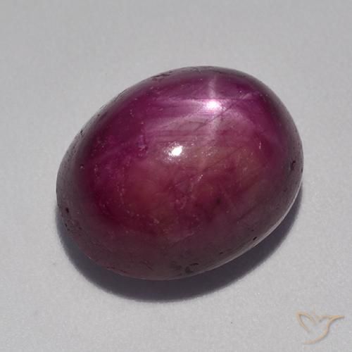 12.53ct Natural Roxo médio-escuro rubi estrela, oval, Opaco