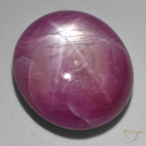 rubi estrela Roxo médio-escuro Natural 53.60ct, oval, Opaco