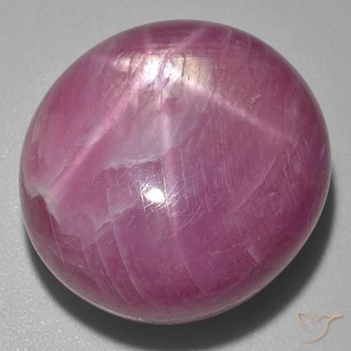 rubi estrela Medium Dark-Purple Natural 56.00ct, oval, Opaco