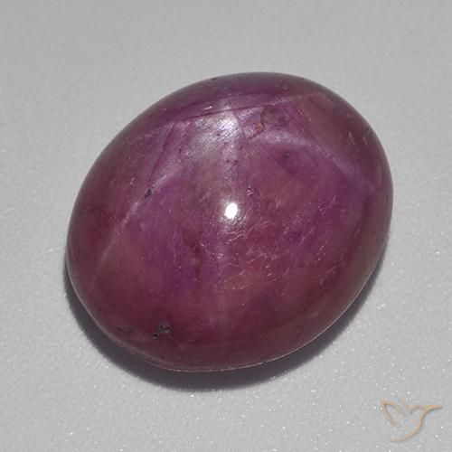 15.55ct Natural Roxo médio-escuro rubi estrela, oval, Opaco