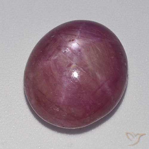 rubi estrela roxo avermelhado Natural 12.36ct, oval, Opaco