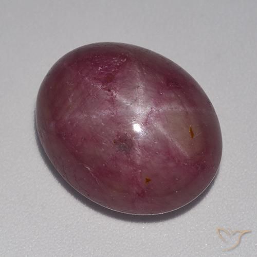 14.78ct Natural Roxo médio-escuro rubi estrela, oval, Opaco
