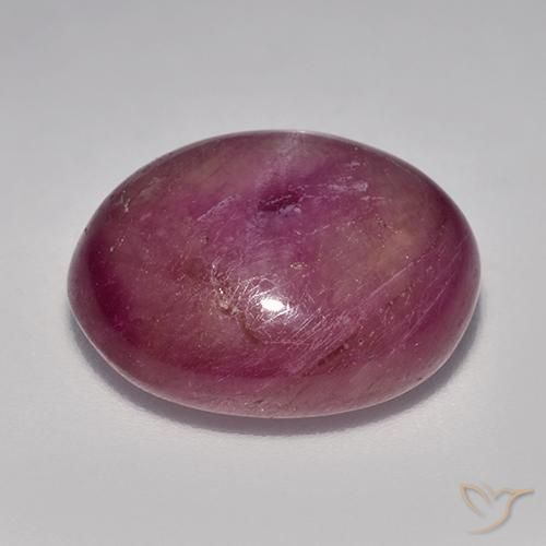 rubi estrela roxo avermelhado Natural 15.67ct, oval, Opaco