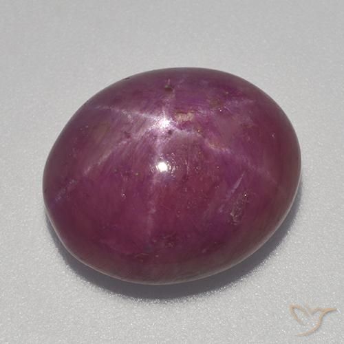 13.70ct Natural Roxo médio-escuro rubi estrela, oval, Opaco
