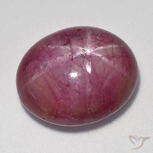rubi estrela Roxo médio-claro Natural 16.94ct, oval, Opaco