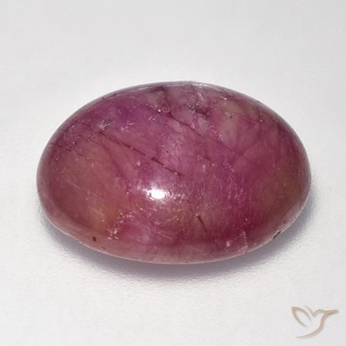 rubi estrela Roxo médio-claro Natural 16.94ct, oval, Opaco