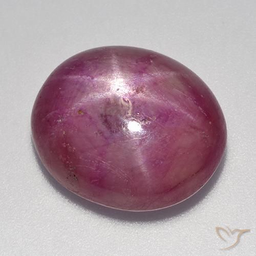 rubi estrela Roxo médio-claro Natural 16.49ct, oval, Opaco