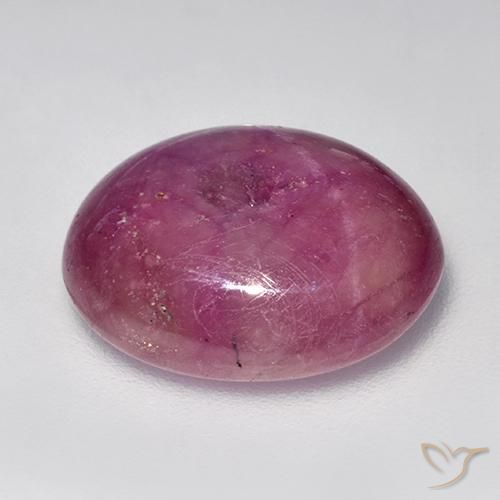 rubi estrela Roxo médio-claro Natural 16.49ct, oval, Opaco