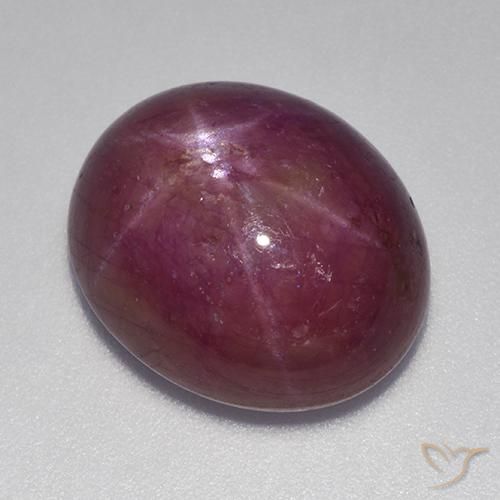 rubi estrela Roxo médio-escuro Natural 17.70ct, oval, Opaco