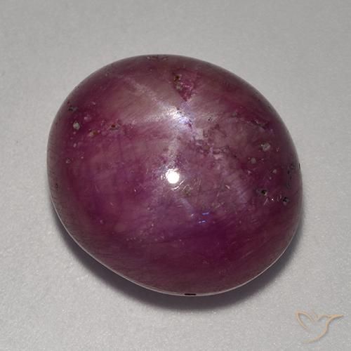rubi estrela roxo avermelhado Natural 18.41ct, oval, Opaco
