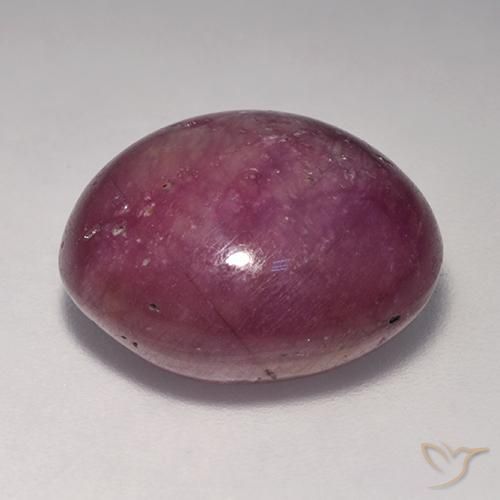rubi estrela roxo avermelhado Natural 18.41ct, oval, Opaco