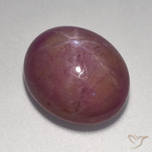 14.20ct Natural Magenta acinzentado rubi estrela, oval, Opaco