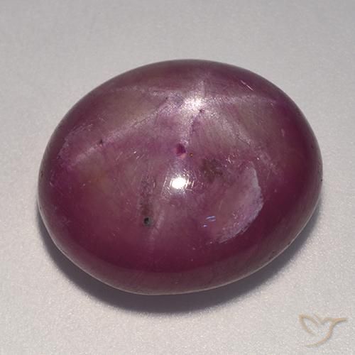 rubi estrela ameixa roxa Natural 20.08ct, oval, Opaco