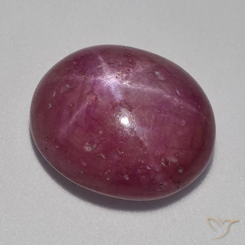 rubi estrela Roxo rosado Natural 13.22ct, oval, Opaco