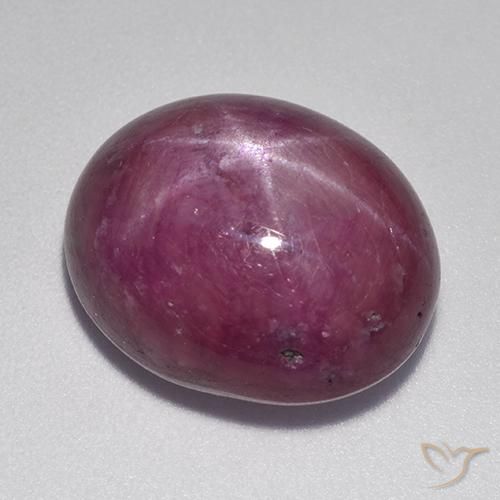 Rubi estrela roxo natural 17,36ct, corte oval, opaco