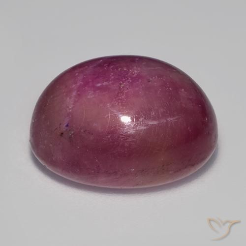 rubi estrela Roxo rosado Natural 17.79ct, oval, Opaco
