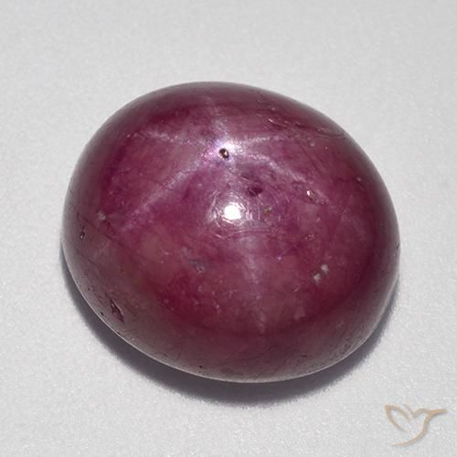 rubi estrela Roxo rosado Natural 15.14ct, oval, Opaco