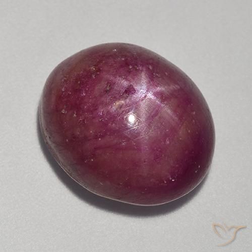 14.52ct Natural Roxo médio-escuro rubi estrela, oval, Opaco